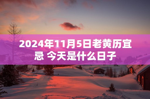 2025年11月5日老黄历宜忌 今天是什么日子