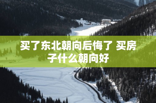 买了东北朝向后悔了 买房子什么朝向好