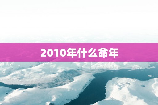 2010年什么命年