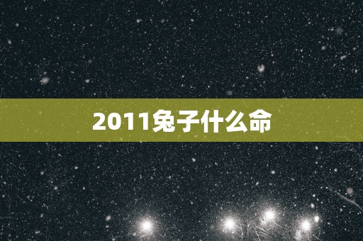 2011兔子什么命