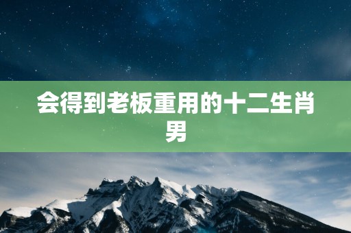 会得到老板重用的十二生肖男