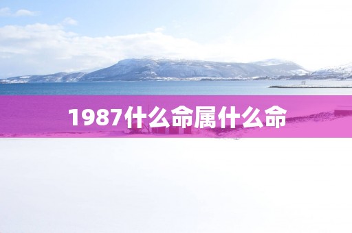 1987什么命属什么命