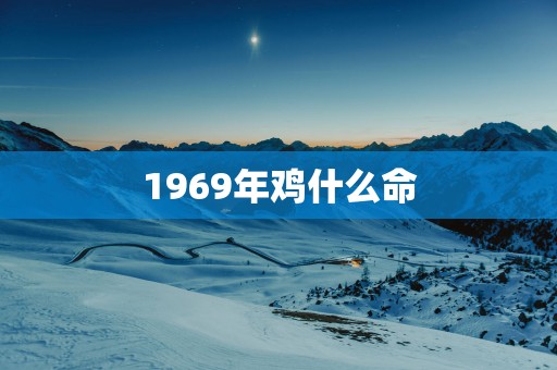 1969年鸡什么命