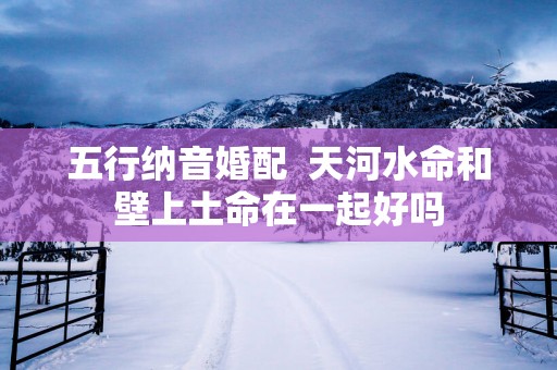 五行纳音婚配  天河水命和壁上土命在一起好吗