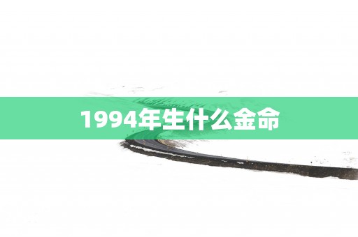 1994年生什么金命