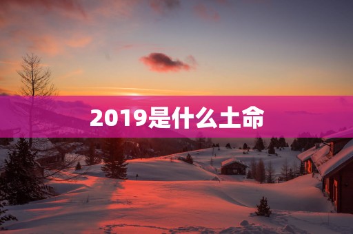 2019是什么土命
