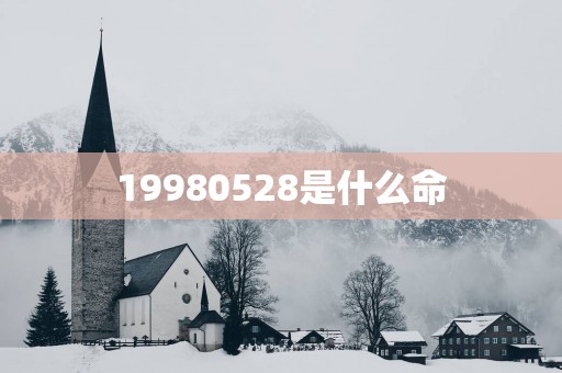 19980528是什么命