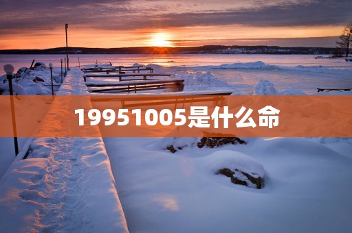 19951005是什么命