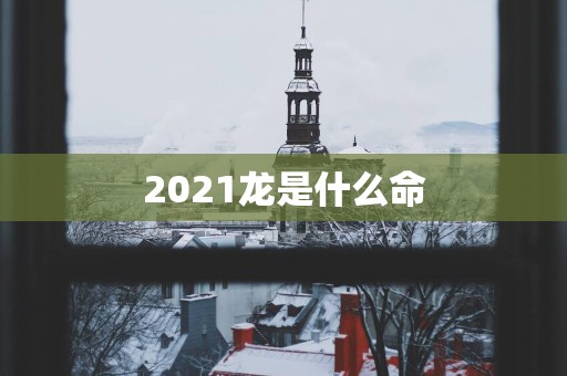 2025龙是什么命