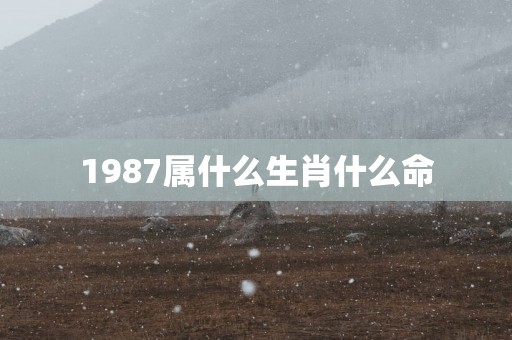 1987属什么生肖什么命