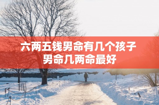 六两五钱男命有几个孩子 男命几两命最好