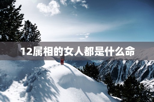 12属相的女人都是什么命