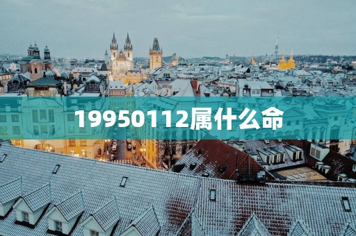 19950112属什么命