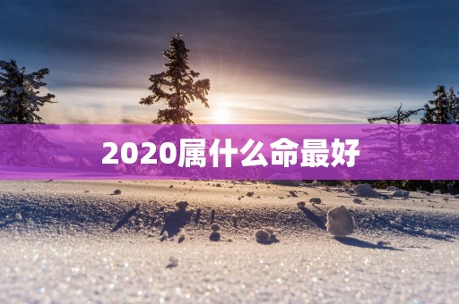 2025属什么命最好
