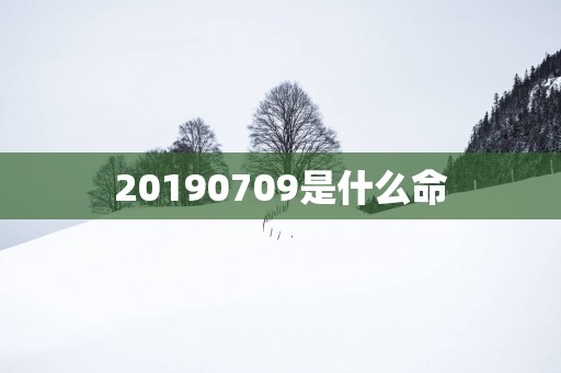 20190709是什么命