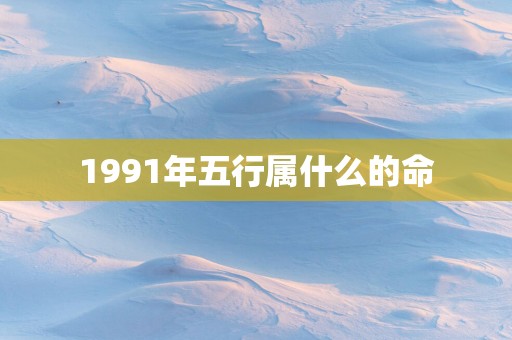 1991年五行属什么的命