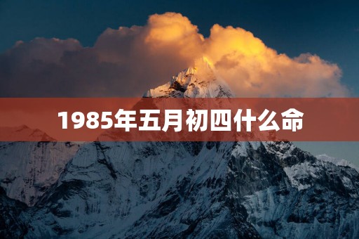 1985年五月初四什么命