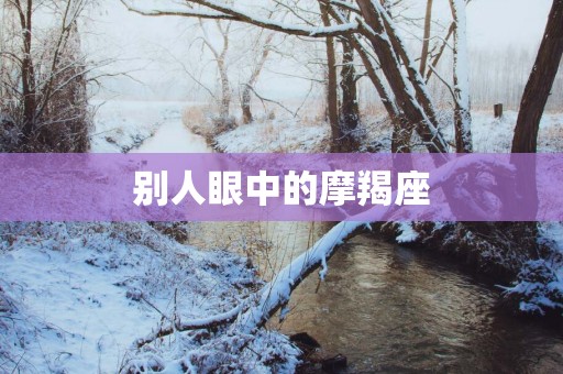 别人眼中的摩羯座