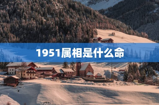 1951属相是什么命