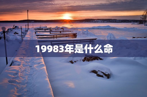 19983年是什么命
