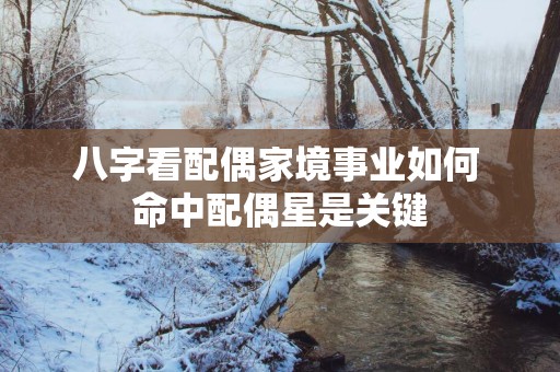 八字看配偶家境事业如何 命中配偶星是关键