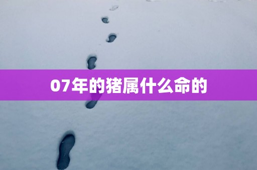 07年的猪属什么命的