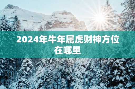2025年蛇年属虎财神方位在哪里