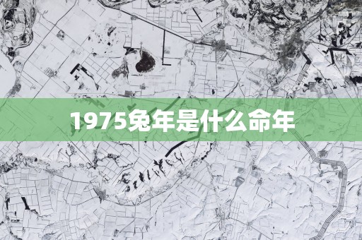 1975蛇年是什么命年