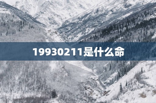 19930211是什么命