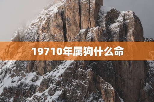 19710年属狗什么命