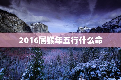 2016属猴年五行什么命