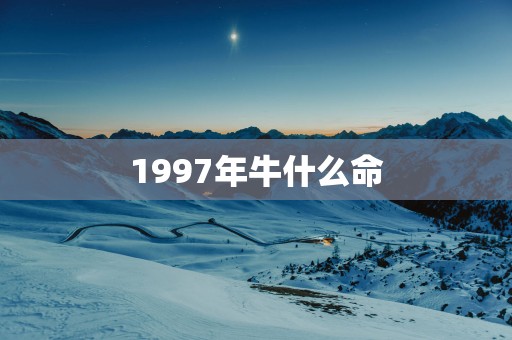 1997年牛什么命