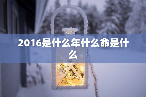 2016是什么年什么命是什么