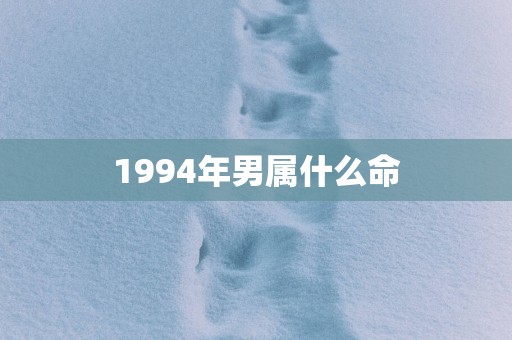 1994年男属什么命