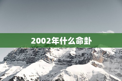 2002年什么命卦