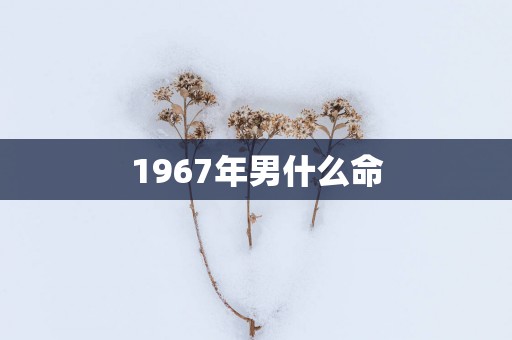 1967年男什么命