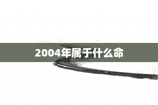 2004年属于什么命