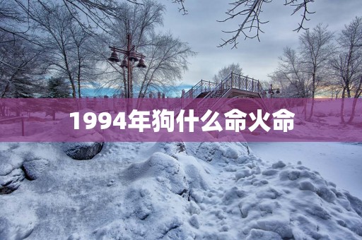 1994年狗什么命火命