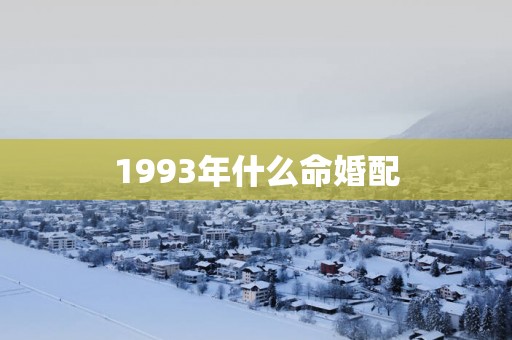 1993年什么命婚配