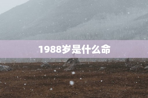 1988岁是什么命