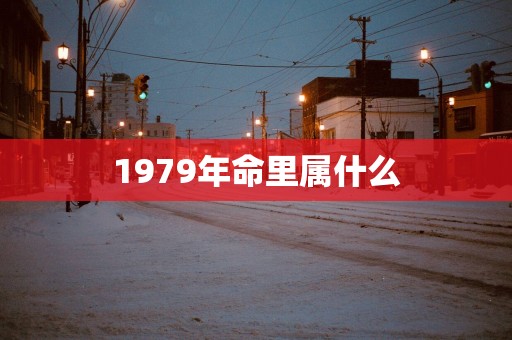 1979年命里属什么