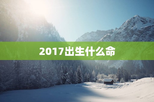 2017出生什么命