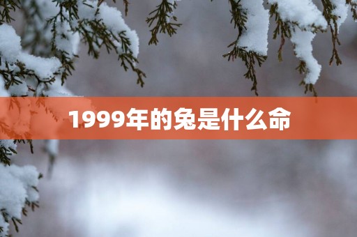 1999年的兔是什么命