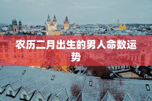 农历二月出生的男人命数运势