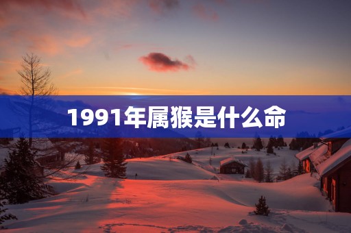 1991年属猴是什么命