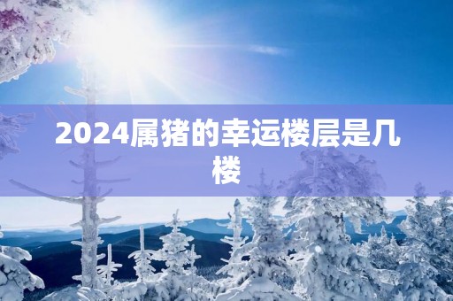 2025属猪的幸运楼层是几楼
