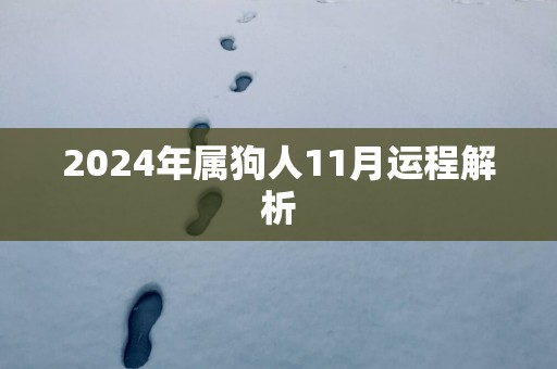 2025年属狗人11月运程解析