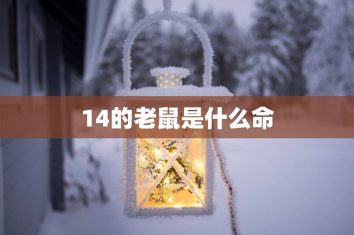 14的老鼠是什么命