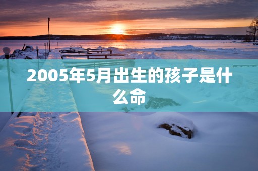 2005年5月出生的孩子是什么命