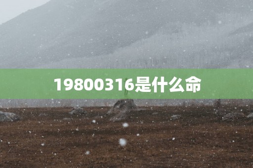 19800316是什么命